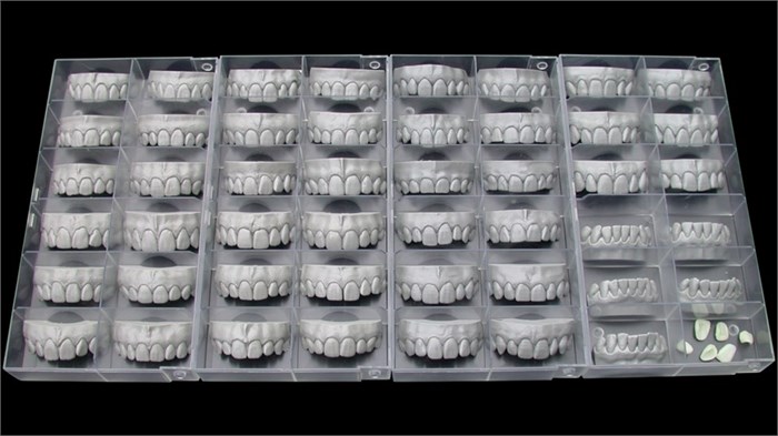 Модуль Exocad Tooth Library. Дополнительная библиотека естественных зубов ToothLibrary - фото 476011