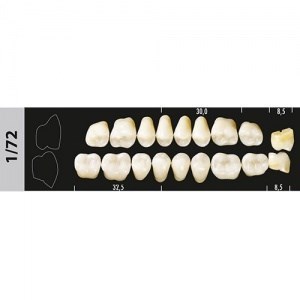 Зубы Major B2 1/72 жевательный низ, 8 шт (Super Lux). st651339 - фото 479951