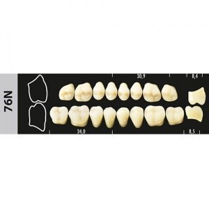 Зубы Major B3 76N жевательный верх, 8 шт (Super Lux). st295670 - фото 480000