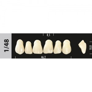Зубы Major C2 1/48, 28 шт (Super Lux) st331162 - фото 480107