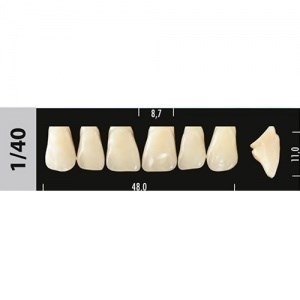 Зубы Major C4 1/40, 28 шт (Super Lux) st453901 - фото 480173
