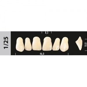 Зубы Major D3 1/25,  28 шт (Super Lux) st312860 - фото 480246