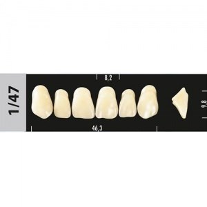 Зубы Major D3 1/47, 28 шт (Super Lux) st883700 - фото 480252