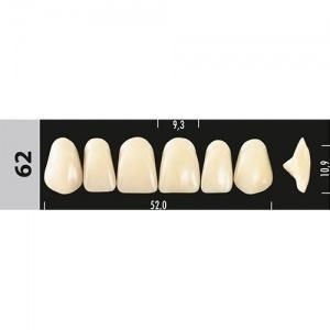 Зубы Major D4 62, 28 шт (Super Lux) st862763 - фото 480287