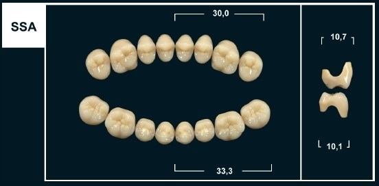 Зубы Yeti B3 SSA жевательный низ (Tribos) 8 шт. 22508 - фото 480446