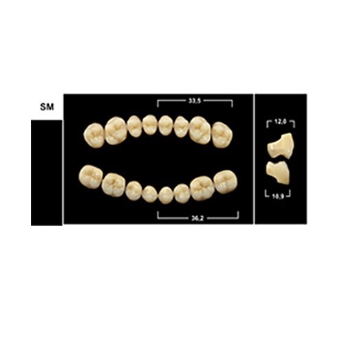 Зубы Yeti C2 SM жевательный низ (Tribos) 8 шт. 21111 - фото 480461