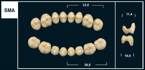 Зубы Yeti D2 SMA жевательный верх (Tribos) 8 шт. 22214 - фото 480482