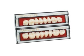 Зубы SR Orthotyp PE Набор из 8 зубов Chromascop жеват.верх. N4 2В. 522795