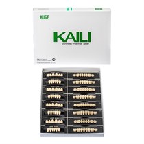 Зубы акриловые Kaili 8*1/ A3, 34L 1 уп. (12 гарн.), A334L_Kaili A334L_Kaili