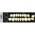 Зубы Major A3 76N жевательный низ, 8 шт (Super Lux). st842065 - фото 479226