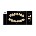 Зубы Yeti A2 SMA жевательный верх (Tribos) 8 шт. 22202 - фото 479623