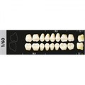 Зубы Major A3,5 1/60 жевательный верх, 8 шт (Super Lux). st768801 - фото 479872