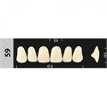 Зубы Major B2 59, 28 шт (Super Lux). st873927 - фото 479953