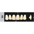 Зубы Major C4 59, 28 шт (Super Lux) st94812 - фото 480180