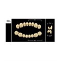 Зубы Yeti C1 SMA жевательный верх (Tribos) 8 шт. 22210 - фото 480609