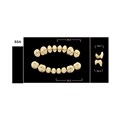 Зубы Yeti A1 SSA жевательный низ (Tribos) 8 шт. 22501 - фото 481855