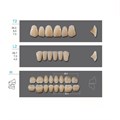 Kaili - зубы акриловые, верхние T2/нижние L2, цвет B2, размер 30, коробка 4х28 шт B2T2/L2/30_Kaili - фото 514761