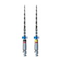 BT-RaCe RA - файл, конус 4%, 25 мм, №40, стерильные, 6 шт 7B0BTR25406 - фото 533509
